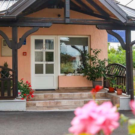 Guest House Studio Apartman Marina - With Jacuzzi, Free Parking, Pet Friendly 카를로바츠 외부 사진